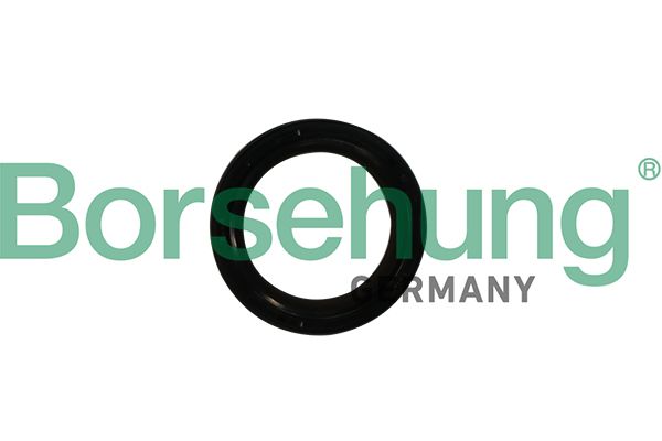 CRANKSHAFT SEAL FRONT BORSEHUNG VAG