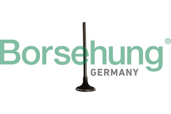 INTAKE VALVE BORSEHUNG BMW