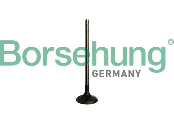 INTAKE VALVE BORSEHUNG VAG