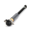 SHOCK ABSORBER REAR ARNOTT VAG