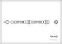 BRAKE HOSE REAR CORTECO VOLVO