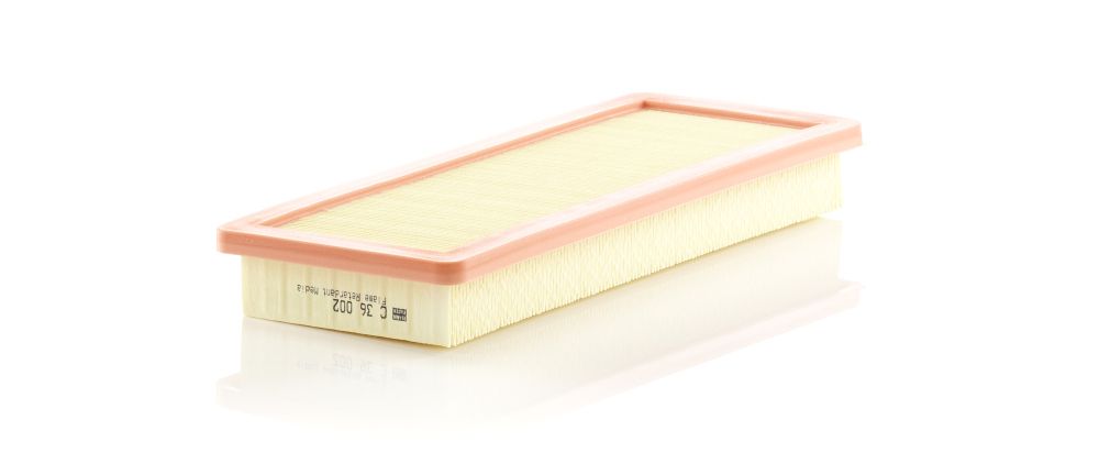 AIR FILTER MANN MINI