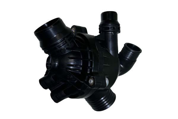 THERMOSTAT ASSEMBLY BORSEHUNG BMW