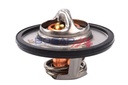 THERMOSTAT BOGAP VAG