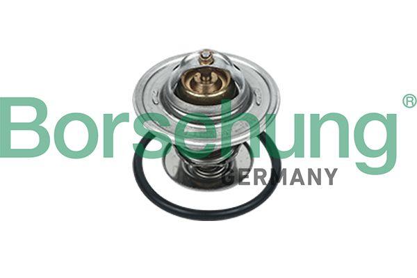 THERMOSTAT BORSEHUNG VAG