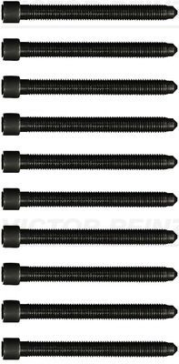 HEAD BOLT KIT VICTOR REINZ VAG