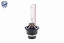 GLOBE XENON (1 PIECE) D2S 35W 42V VEMO