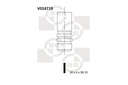EXHAUST VALVE BGA VAG