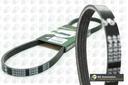 DRIVE BELT BGA VAG