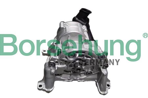 OIL PUMP SET BORSEHUNG VAG