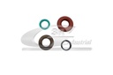 INJECTOR SEAL KIT 3RG RENAULT