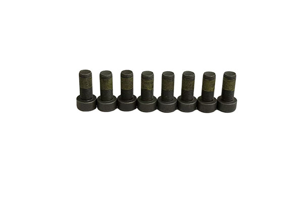 FLYWHEEL BOLTS KIT [8 PCS] BORSEHUNG VAG