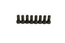 FLYWHEEL BOLTS KIT [8 PCS] BORSEHUNG VAG