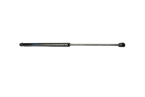 BONNET SHOCK BORSEHUNG MERC