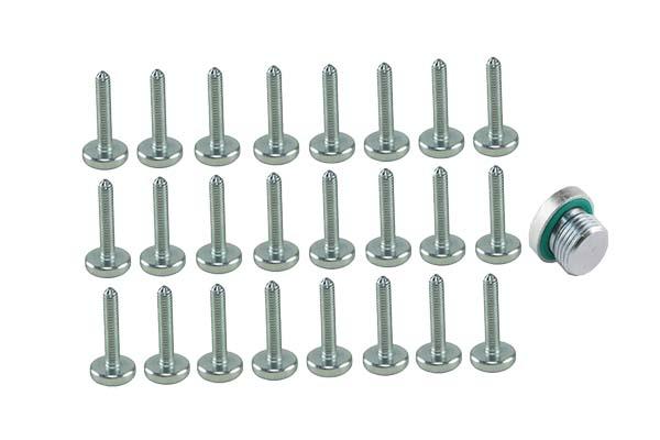 TRANS SUMP BOLT KIT BORSEHUNG BMW