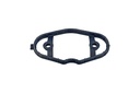 HIGH PRESSURE PUMP SEAL BORSEHUNG BMW