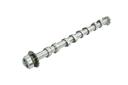 CAMSHAFT INLET BORSEHUNG VAG