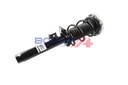 SHOCK ABSORBER ASSY LHF BOGAP BMW