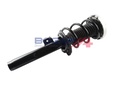 SHOCK ABSORBER ASSY RHF BOGAP BMW