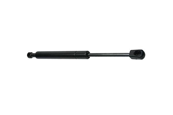BONNET SHOCK BORSEHUNG BMW