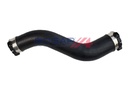 CHARGE AIR HOSE BOGAP BMW