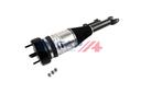 AIR STRUT LHF BOGAP MERC