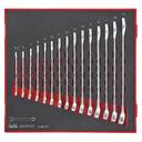 TENG 15PCE COMBINATION SPANNER SET 5.5-19MM - TED-TRAY