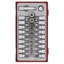 TENG 30PCE 1/4&3/8" DR. TX,TPX & TX-E BIT SOCKET SET - TC-TRAY