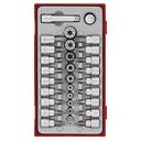 TENG 30PCE 1/4&3/8" DR. TX,TPX & TX-E BIT SOCKET SET - TC-TRAY