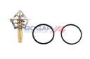 THERMOSTAT BOGAP MERC