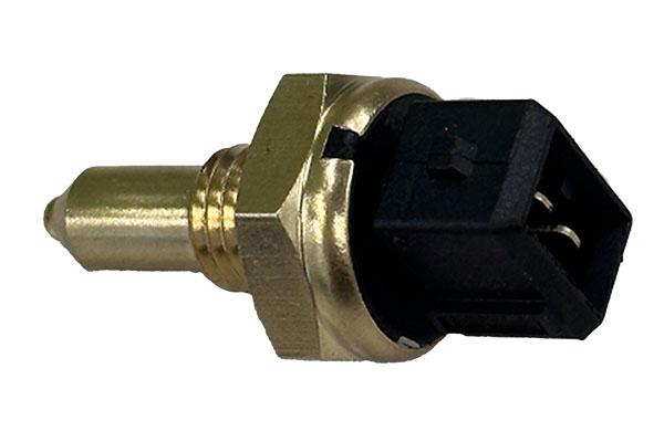 TEMPERATURE SENSOR BORSEHUNG BMW