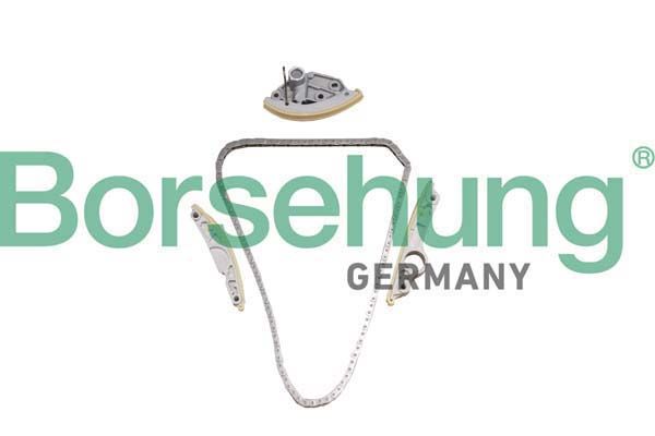 TIMING CHAIN KIT BORSEHUNG VAG