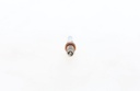 SPARK PLUG BOSCH IRIDIUM MERC RENAULT