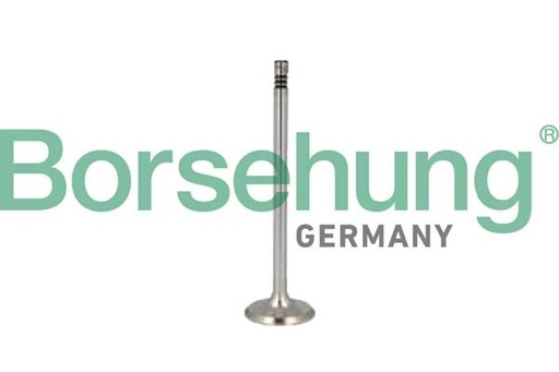 [B10350] VALVE EXHAUST BORSEHUNG BMW