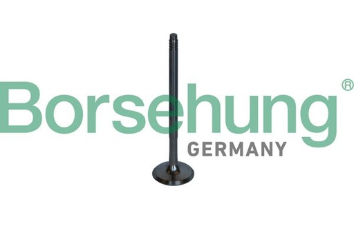 [B10326] VALVE EXHUAST BORSEHUNG BMW