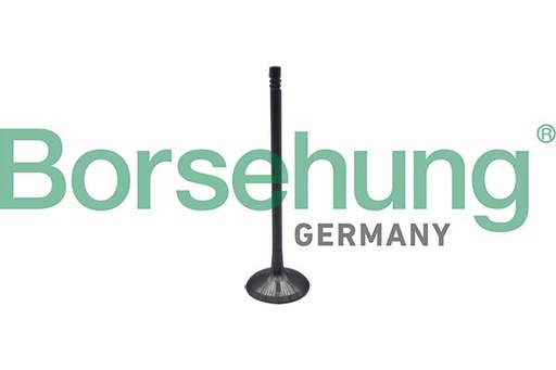 [B10323] VALVE INLET BORSEHUNG BMW