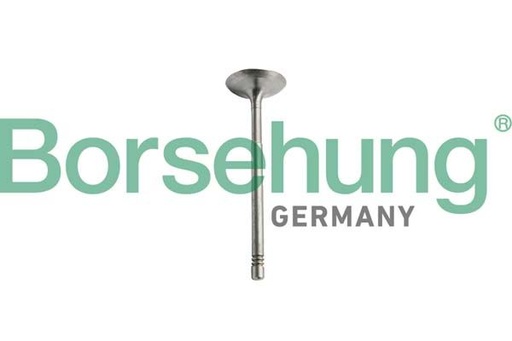 [B10351] VALVE INLET BORSEHUNG MERC