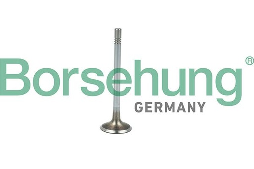 [B19021] VALVE INLET BORSEHUNG VAG