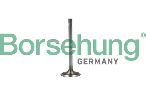 [B19022] VALVE INLET BORSEHUNG VAG