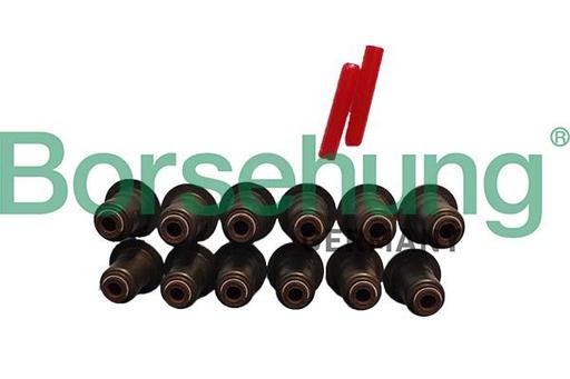 [B12508] VALVE STEM SEAL KIT BORSEHUNG BMW