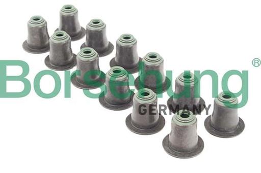 [B12507] VALVE STEM SEAL KIT BORSEHUNG BMW