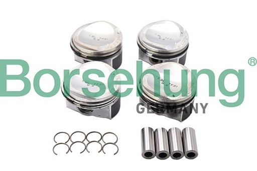 [B13582] PISTON ASSY SET OF 4 BORSEHUNG VAG