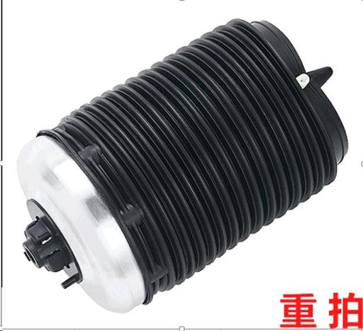 [53683] AIR SPRING RHR OSSCA VAG