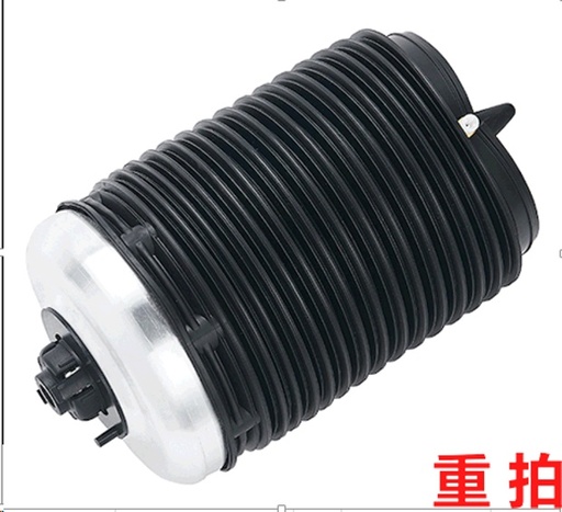 [53683] AIR SPRING RHR OSSCA VAG