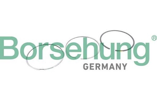 [B10368] PISTON RING KIT BORSEHUNG VAG