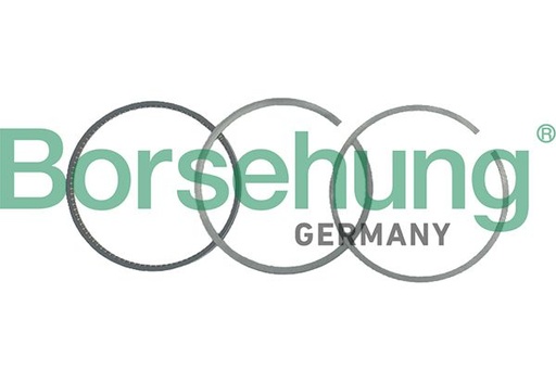 [B19041] PISTON RING KIT BORSEHUNG VAG