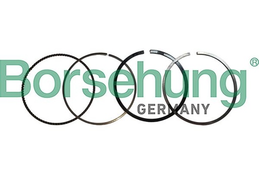 [B10366] PISTON RING KIT STD BORSEHUNG MERC