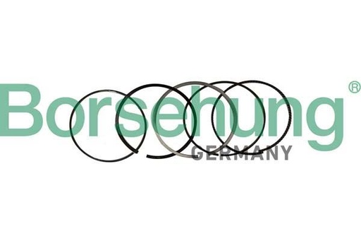 [B10369] PISTON RING SET STD BORSEHUNG BMW