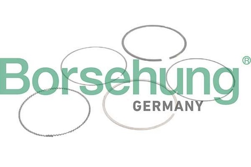 [B10373] PISTON RING SET STD BORSEHUNG BMW