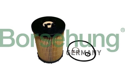 [B12456] OIL FILTER BORSEHUNG BMW